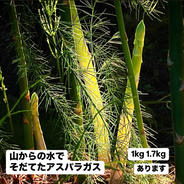 愛媛県西条産　アスパラガス 1キロ 果物や野菜などのお取り寄せ宅配食材通販産地直送アウル