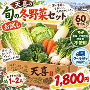 人気No.1】無農薬 夏野菜メガ盛りお楽しみ箱 80サイズ ｜ 野菜/野菜