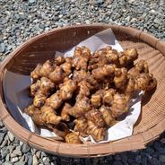 【訳アリ品】ハナコのコマ生姜 4kg 4kg 果物や野菜などのお取り寄せ宅配食材通販産地直送アウル
