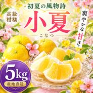 【ꕤ446】はるか『訳あり品』現品で終了‼ 熊本みかん（20kg） 選果落ち 訳あり品】熊本県産 はるか 約2㎏ 規格外 訳あり品 【003