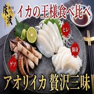アオリイカ（冷凍）小 1kg詰（5-8杯前後入）サイズ不揃い ｜ 魚介類