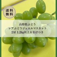 山形県産青梅♡白加賀梅♡1.2キロお試しサイズ♡ ｜ 果物/青梅 産直