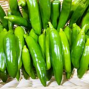 ハラペーニョ（約400g） 400g 果物や野菜などのお取り寄せ宅配食材通販産地直送アウル