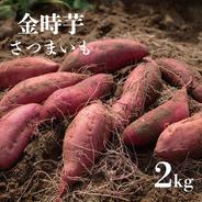 むっちりホクホク‼︎新品種「栗かぐや」 | 野菜/さつまいも 産直アウル
