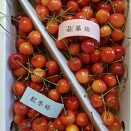 佐藤錦と紅秀峰 700g 果物や野菜などのお取り寄せ宅配食材通販産地直送アウル