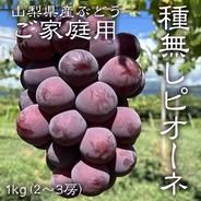 山梨県産】巨峰(種無し)1kg（2〜3房）山梨県南アルプス市産 ｜ 果物