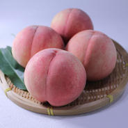 干し柿】市田柿170g×4パック ｜ 果物/果物の加工品 産直アウル 農家