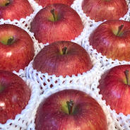サンふじ　贈答用3kg 3kg(10個入) 果物や野菜などのお取り寄せ宅配食材通販産地直送アウル