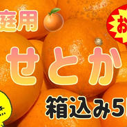 ▲本州、四国、九州のみ発送可▲ 愛媛産　※せとか※5.0kg 5.0kg 果物や野菜などのお取り寄せ宅配食材通販産地直送アウル