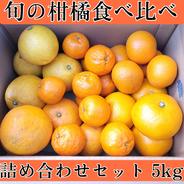 5kg(箱込み) 】 厳選絶品 小玉 有田みかん ｜ 果物/温州みかん 産直
