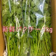 新鮮パクチー 7kg | 野菜/ハーブ 産直アウル 農家から直接野菜などの