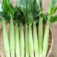 訳あり丸干し芋2キロ【べにはるか】 ｜ 加工品/その他加工品 産直