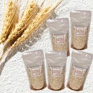 無肥料・自然栽培の紫もち麦(玄麦)800g【チャック袋】 | 米・穀物/雑穀