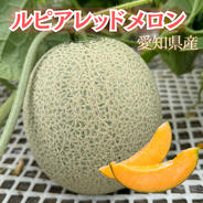 オルフェメロン【5L】2玉 ｜ 果物/メロン 産直アウル 農家・漁師など