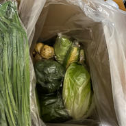 韮屋のFARMABE 季節の野菜セット100サイズ6〜10品目 ご家族3〜4人用 果物や野菜などのお取り寄せ宅配食材通販産地直送アウル