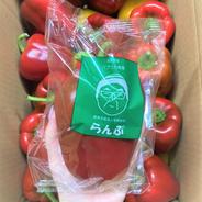 赤色パプリカ【1キロ】 約1キロ 果物や野菜などのお取り寄せ宅配食材通販産地直送アウル