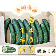 中島　きゅうり　箱込み約２０キロ ファーム中島の訳ありお得『おのんきゅうり』 ｜ 野菜/きゅうり 産直