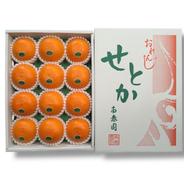 せとか 家庭用3キロ ｜ 果物/オレンジ・その他みかん 産直アウル 農家
