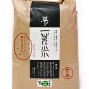 ヒノヒカリ玄米10k肥料農薬不使用・天日塩使用の栽培米 ｜ 米・穀物