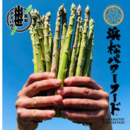 糖度9.5】朝採りアスパラ 訳あり品 L〜3Lサイズ混合 ｜ 野菜/アスパラ