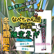 なべちゃん専用 期間限定】なべちゃん葱，甘くて美味しい 希少ネギ 泥なし ｜ 野菜