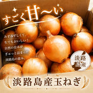 人気No.1品種「極甘」あま〜くて水々しい淡路島産新玉ねぎ5kg ｜ 野菜