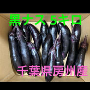千葉房州産！猪野農園の長ナス 黒ナス 4.5キロ 果物や野菜などのお取り寄せ宅配食材通販産地直送アウル