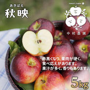 桃 スイートリッチ（プレミアムワッサー） 3kg ｜ 果物/もも 産直