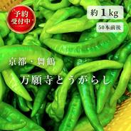 京都産 朝堀タケノコ(特大サイズ)🌿約2kg以上1本！ ｜ 野菜/たけのこ