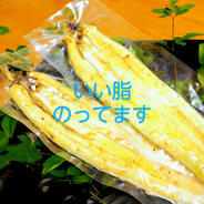 【蒲焼きのタレ無し】高知県産うなぎの白焼き有頭120～130ｇ5尾　エコ包装 0.6㎏ 果物や野菜などのお取り寄せ宅配食材通販産地直送アウル