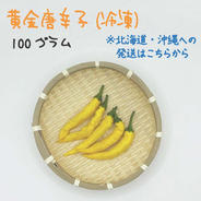 北海道・沖縄専用】韓国唐辛子 約3kg 宮崎産 青唐辛子 フレッシュ 収穫 