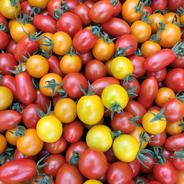 いちご 1kg 栽培期間中農薬化学肥料不使用 ｜ 果物/いちご 産直アウル