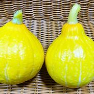 コリンキー3kg 約3kg 果物や野菜などのお取り寄せ宅配食材通販産地直送アウル