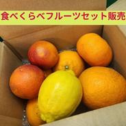 食べくらべセット　10種類以上入ってるマニアの方に箱込約2㌔ 食べくらべセット 箱込約2㌔ 食べくらべセット 果物や野菜などのお取り寄せ宅配食材通販産地直送アウル