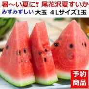 【予約受付】甘～い尾花沢大玉夏すいか 4L x１玉 山形県産 9~10kg【旬祭限定】 甘～い大玉スイカ ４L  1玉 約 9~10kg 果物や野菜などのお取り寄せ宅配食材通販産地直送アウル