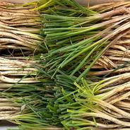 沖縄 島らっきょう 1kg ｜ 野菜/その他野菜 産直アウル 農家・漁師など