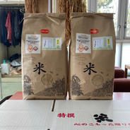 『みんなで頑張ろう米❗️』あきたこまち玄米10kg 10kg 果物や野菜などのお取り寄せ宅配食材通販産地直送アウル