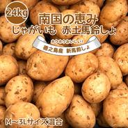新じゃがいも 送料無料 24kg M~3Lサイズ混合 赤土 南国の恵み 24kg 果物や野菜などのお取り寄せ宅配食材通販産地直送アウル