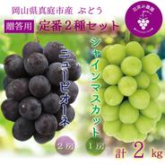 PS-2上　花笑み農園　岡山の『ピオーネ&シャインマスカット』約2kg（3～4房）贈答用【9/18～順次発送】 約2ｋｇ（ピオーネ２房、シャインマスカット1～2房） 果物や野菜などのお取り寄せ宅配食材通販産地直送アウル
