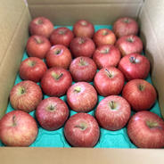 鳥海山の天然トンビマイタケの水煮 1,000g | 野菜/きのこ 産直アウル