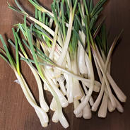 【石垣島産】【送料込】【皮剥き済】島らっきょ500g 500g 果物や野菜などのお取り寄せ宅配食材通販産地直送アウル