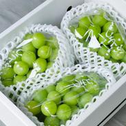 シャインマスカット 5kg ｜ 果物/ぶどう 産直アウル 農家・漁師など