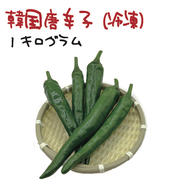 北海道・沖縄専用】ハラペーニョ 約500g 宮崎産 フレッシュ 収穫後農園