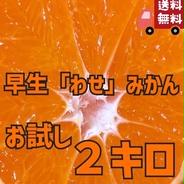 お試し▽北海道、沖縄のみ発送可▽ 愛媛産※温州みかん※ご家庭用 2キロ 果物や野菜などのお取り寄せ宅配食材通販産地直送アウル