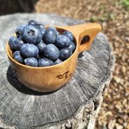 ワケあり）朝摘み 自然栽培 ブルーベリー 1kg ｜ 果物/ベリー類 産直