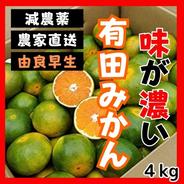 甘い！有田みかん 最高級 5kg 少農薬 地元から愛される由良早生 激安 4kg 果物や野菜などのお取り寄せ宅配食材通販産地直送アウル