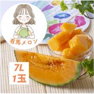 【有馬温泉の麓発】糖度センサー選果の赤肉メロン🍈 最高等級7L 1玉(2.1kg前後) 土づくりと甘さにこだわる農薬節約栽培🌱 御中元・夏ギフトにも🎁《7月中旬頃〜発送🚛³₃》 最高等級1玉（2.1kg前後） 果物や野菜などのお取り寄せ宅配食材通販産地直送アウル