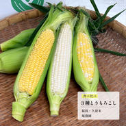 有機質栽培 減農薬 新米夢つくし玄米30キロ ｜ 米・穀物/玄米 産直