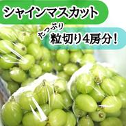 訳有り】マイハート2kg箱 ｜ 果物/ぶどう 産直アウル 農家・漁師など