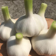 青森生まれの和歌山育ち、福地ホワイト生にんにく1kg 1kg 果物や野菜などのお取り寄せ宅配食材通販産地直送アウル